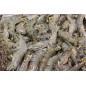 Gambas crues Gambas crues