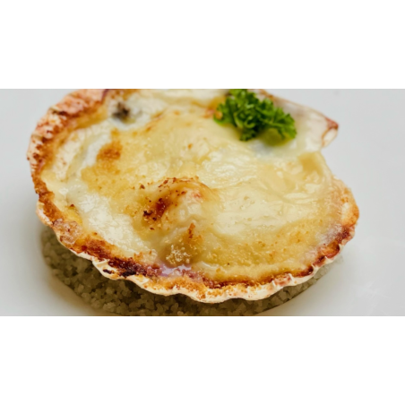 Coquille St Jacques à la Normande