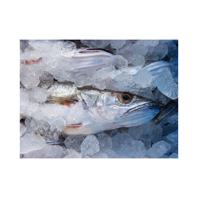 Pavé de Turbot Pavé de Turbot