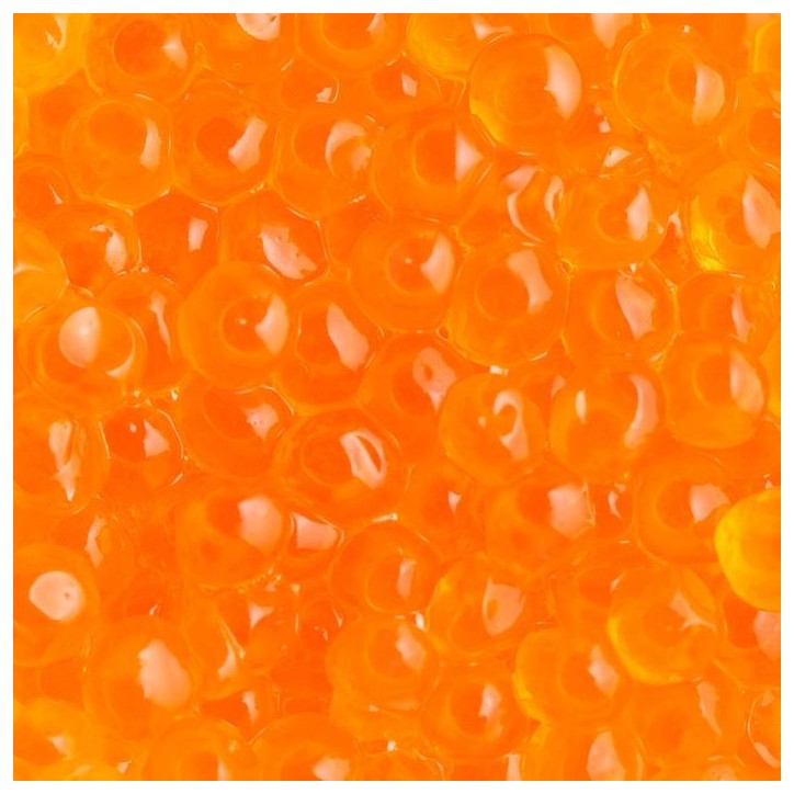 Œufs de Saumon Sauvage