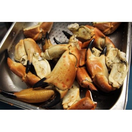 Pinces de tourteau