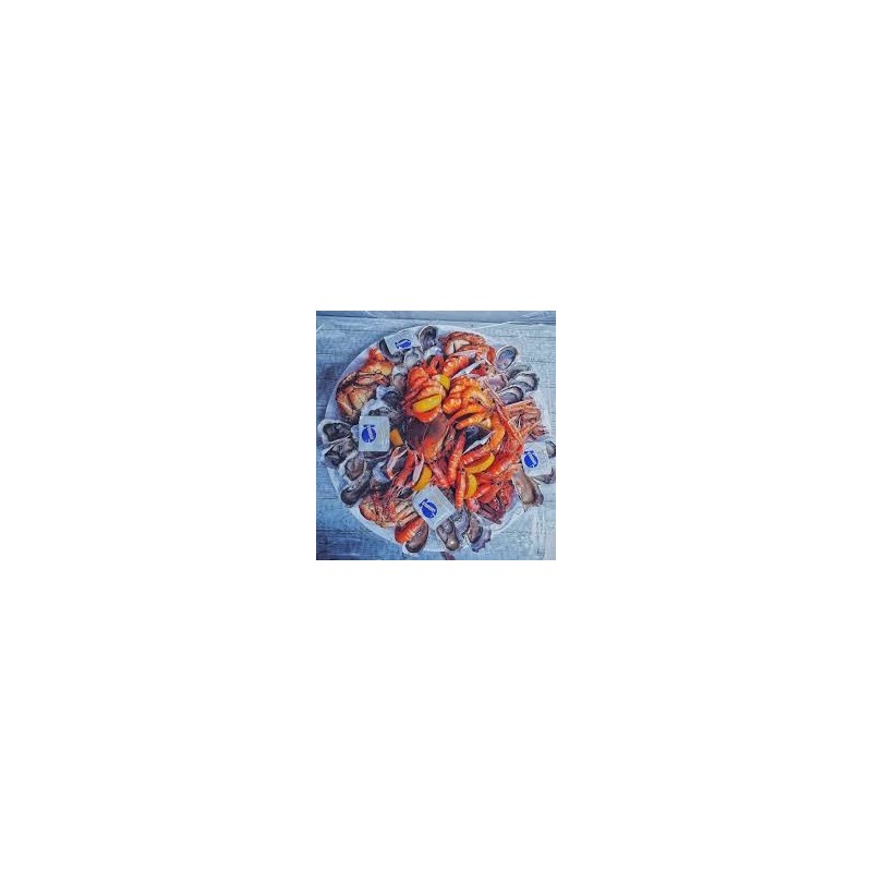 copy of copy of Le Corail