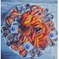 copy of copy of Le Corail