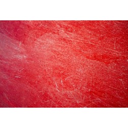 Pavé de Thon Rouge