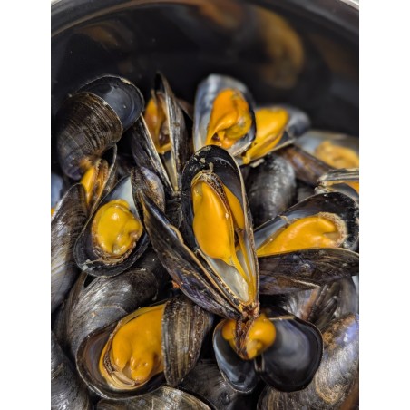 Moules de Bouchot - Morisseau