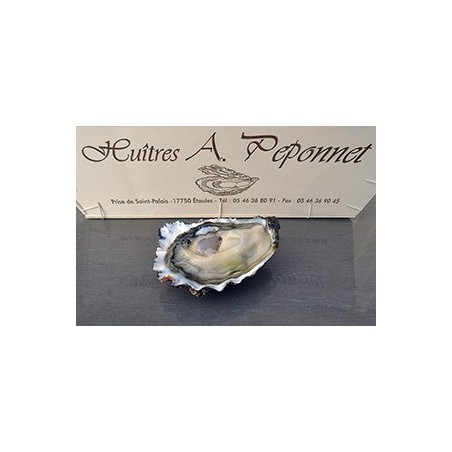 Fines de Claire N°2 (Peponnet)