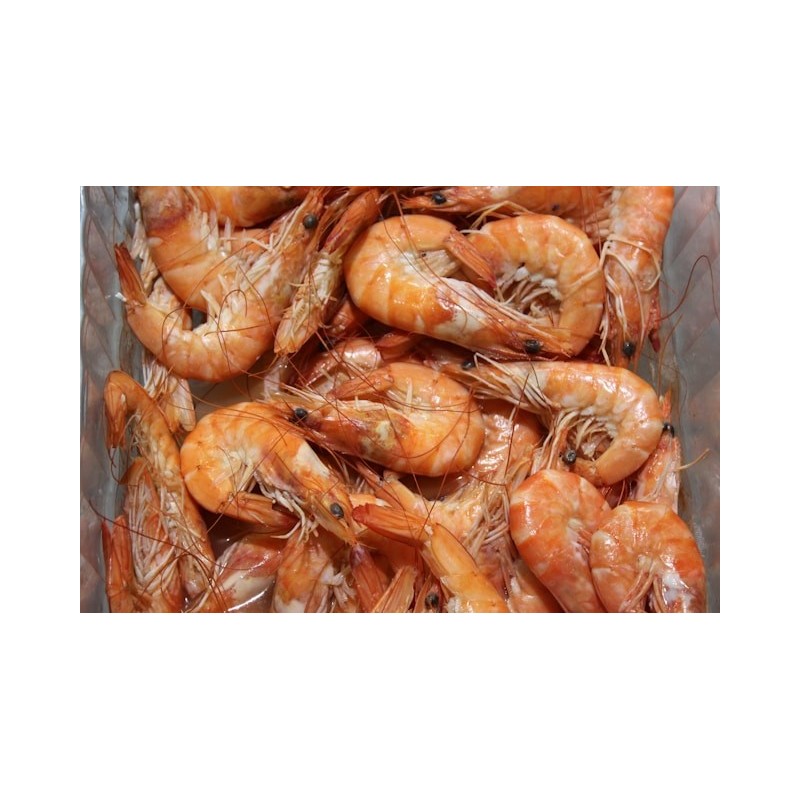 Crevettes sauvage Crevettes sauvage
