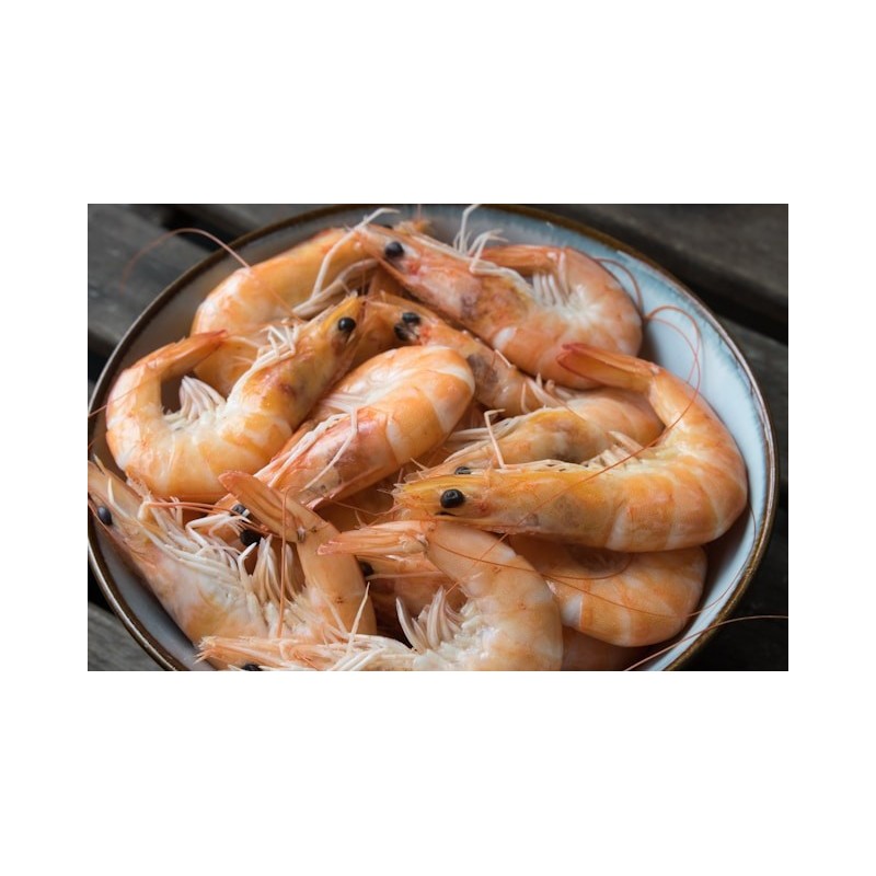 Crevettes Roses Crevettes Roses